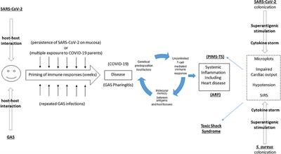 Pediatric Inflammatory Multisystem Syndrome Temporally Related With SARS-CoV-2: Immunological Similarities With Acute Rheumatic Fever and Toxic Shock Syndrome